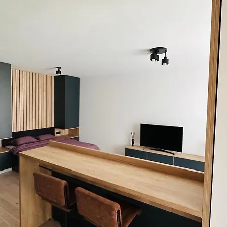 Lägenhet Record Park - Studio Cluj-Napoca